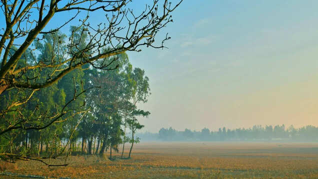 West Bengal: Sunderbans all set to reopen from October 1