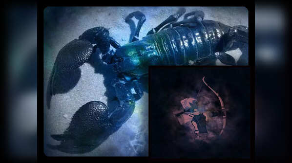 Scorpio-Sagittarius