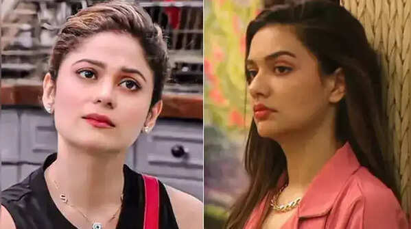 Every time Neha and Shamita showed their hypocrisy, I caught them