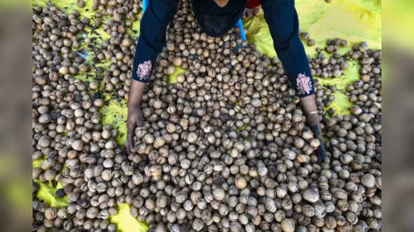 Walnuts production in J&K