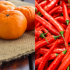 Article image for: <i class="tbold">gi tag</i>: Hathei chilli and Tamenglong orange are the latest additions