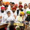Rahul Gandhi is a 'revolutionary leader'