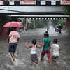Article image for: New pictures of <i class="tbold">inundation</i>