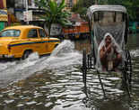 Kolkata rains: 20 pictures from inundated city