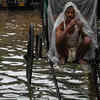 Article image for: Trending photos of <i class="tbold">inundation</i> on TOI today