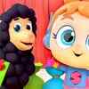 Article image for: Nursery Rhymes in English: Children Video Song in English '<i class="tbold">baa</i> <i class="tbold">baa</i> Black Sheep'