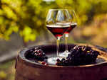 How to make Fruit Wine at home