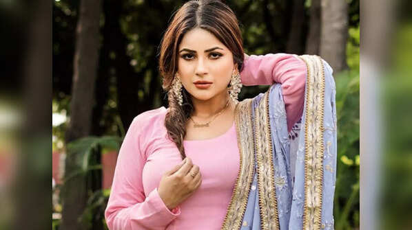 Punjabi kudi in action