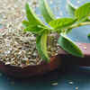 Tulsi