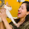 Pet lover