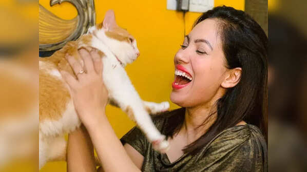Pet lover