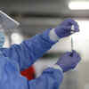 When can these vaccines be ready?