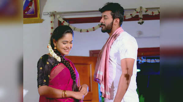Adi-Paaru (Paaru)