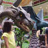 Age of Dragons