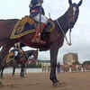 Mounted police rehearsing