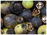 ​Black walnuts