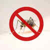 Can COVID measures increase risk of monsoon-borne illnesses?