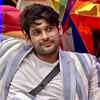 Article image for: Senior in <i class="tbold">bigg boss 14</i>