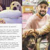 Article image for: Anushka Sharma shares a heartfelt post for pet owners 'who have lost their doggo', Sonali Bendre, Mouni Roy get emotional