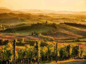 Tuscany, Italy 