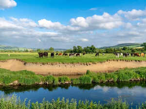Skipton, United Kingdom 