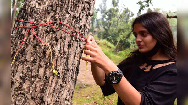 Movement against tree felling in Uttarakhand