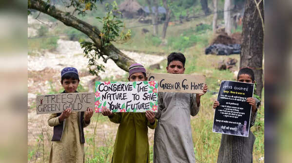 Movement against tree felling in Uttarakhand
