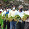 Harvest festival