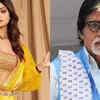 Article image for: Navratri 2021: From Shilpa Shetty, Sunjay Dutt to Amitabh Bachchan, Bollywood celebs wish fans as 9-day long festival begins
