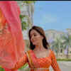 Article image for: <i class="tbold">rubina</i> Dilaik