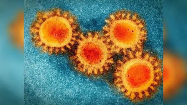 Middle East respiratory syndrome (MERS)