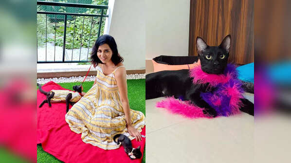 Raiza Wilson's Kaza