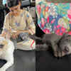 Samantha's fur baby Saasha