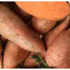 Sweet Potatoes
