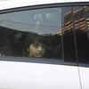 Amid the ongoing Aryan Khan case, Shah Rukh Khan’s younger son AbRam gets snapped in the city