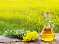 Can cooking meals in mustard oil aid weight loss?