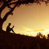 ​They don't disappoint