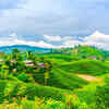 Article image for: See the latest photos of <i class="tbold">sri lanka</i>
