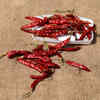 Cayenne pepper