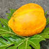 ​Papaya leaves