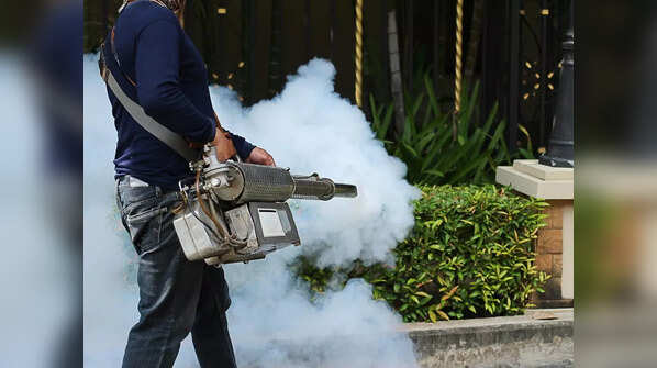 Dengue infections can be prevented and/or managed