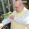Amit shah in jungle safari