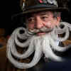 Article image for: New pictures of <i class="tbold">beard</i>