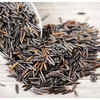 What is wild rice and is it really healthy?