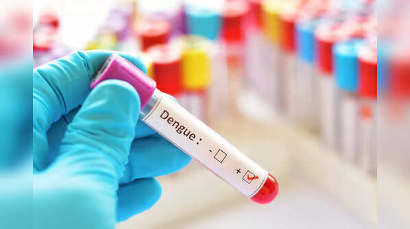 Do you develop 'immunity' against dengue?