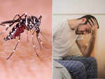 Low platelet count may be a significant tell-tale sign of dengue