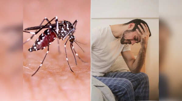 Low platelet count may be a significant tell-tale sign of dengue