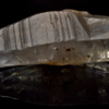 White Sapphire or Safed Pukhraj