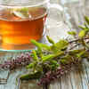 Brew yourself a cup of tulsi and ginger tea everyday
