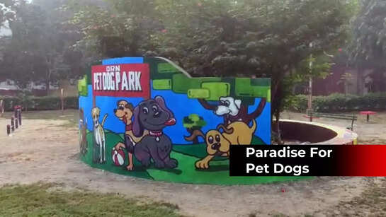 NDMC opens Delhi's first pet dog park with state-of-the-art equipment